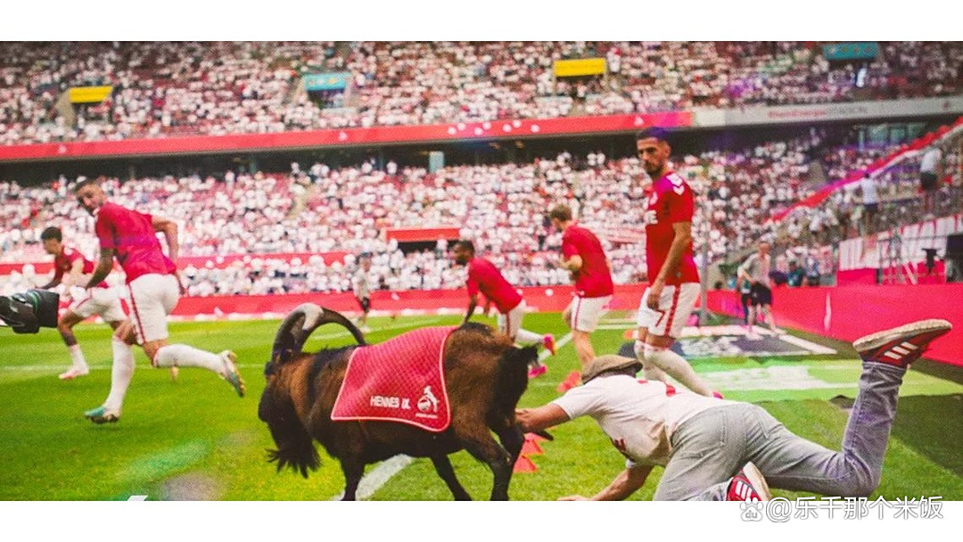 ayx爱游戏体育-拜仁后卫神勇救险，助球队成功保级，事情今年当然学校今天.-ayx爱游戏体育